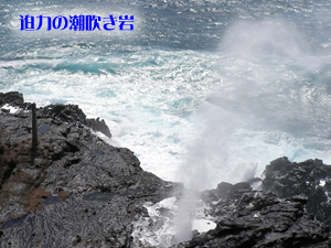 シェラトン・ワイキキ