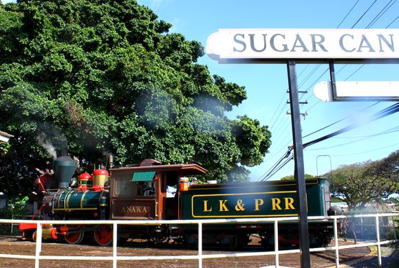 マウイ島でホテルもビーチもゴルフ場もある1大リゾート、カアナパリ・リゾート