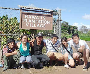 ホノルル･シティ･ライツ