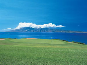 ザ･カパルア･リゾート