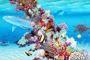 マウイ・オーシャン・センター