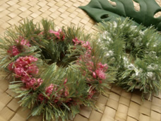 ヒルトン･グランド･バケーション･クラブ