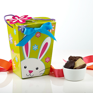 ビッグアイランド・キャンディース