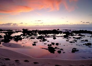 モロカイ ラナイ 風力