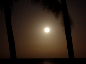 オアフ島ノースショアのタートル・ベイ・リゾート