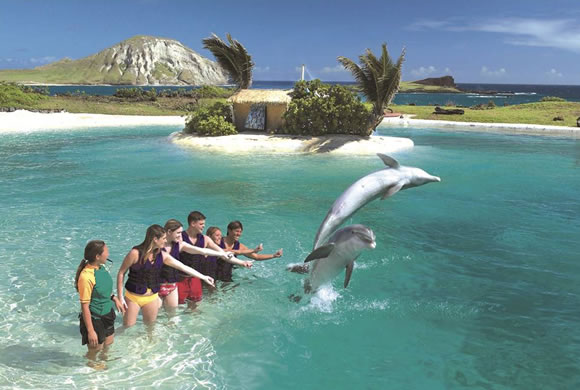 イルカと遊べるハワイのマリーンパーク、シーライフ・パーク!