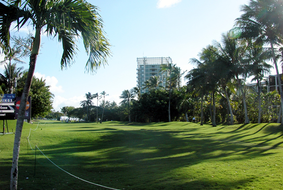 ソニー･オープン