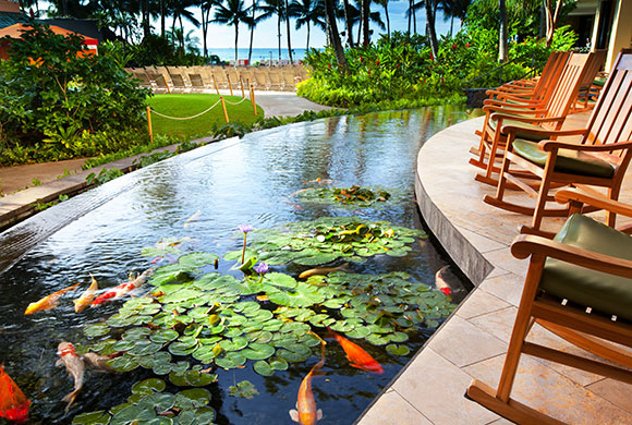 シェラトンワイキキの錦鯉