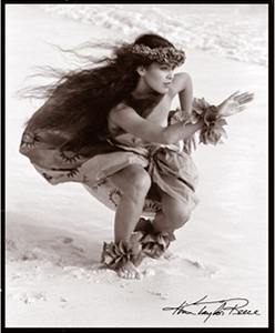 ハワイを描くフォトグラファー、キム・テイラー・リース