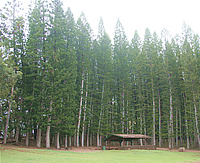 スピリチュアル&ヒーリング