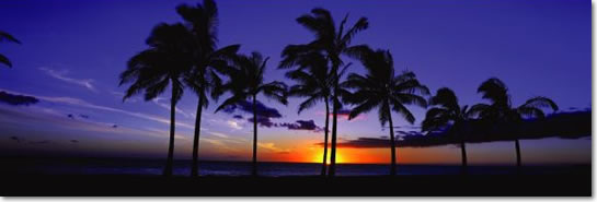 ワイキキ・ビーチ・ウォーク,ピーター・リック写真