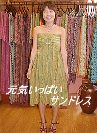 サッシュ･スカート