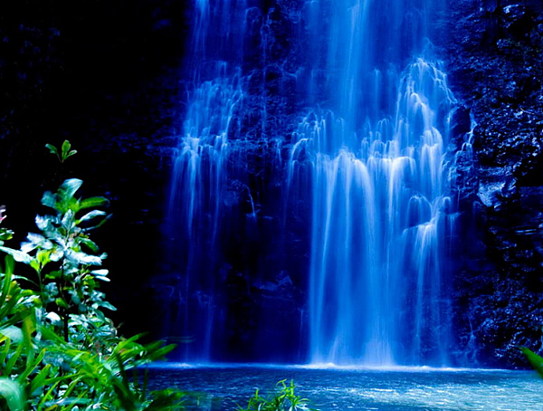 アイランド・スノー