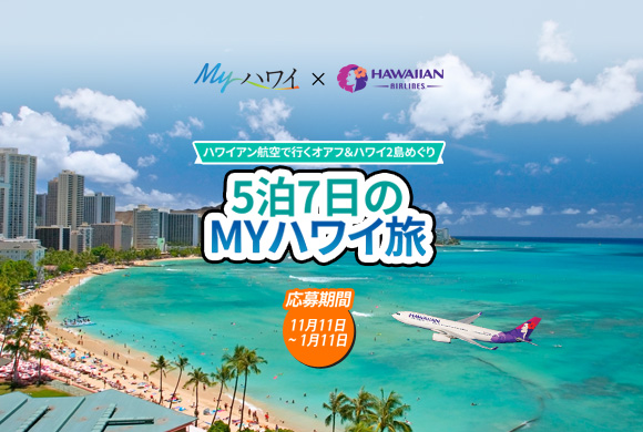 たくさんのご応募お待ちしております！